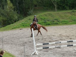 img_5901_web
